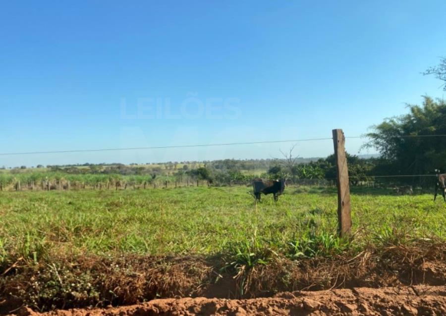 ITAPAGIPE/MG – Fração ideal de 12,5% da Fazenda Moeda ou Moeda de Cima, equivalente a 10,55,14 ha LEILÃO EXTRAJUDICIAL DE IMÓVEIS, localizado em Itapagipe - MG