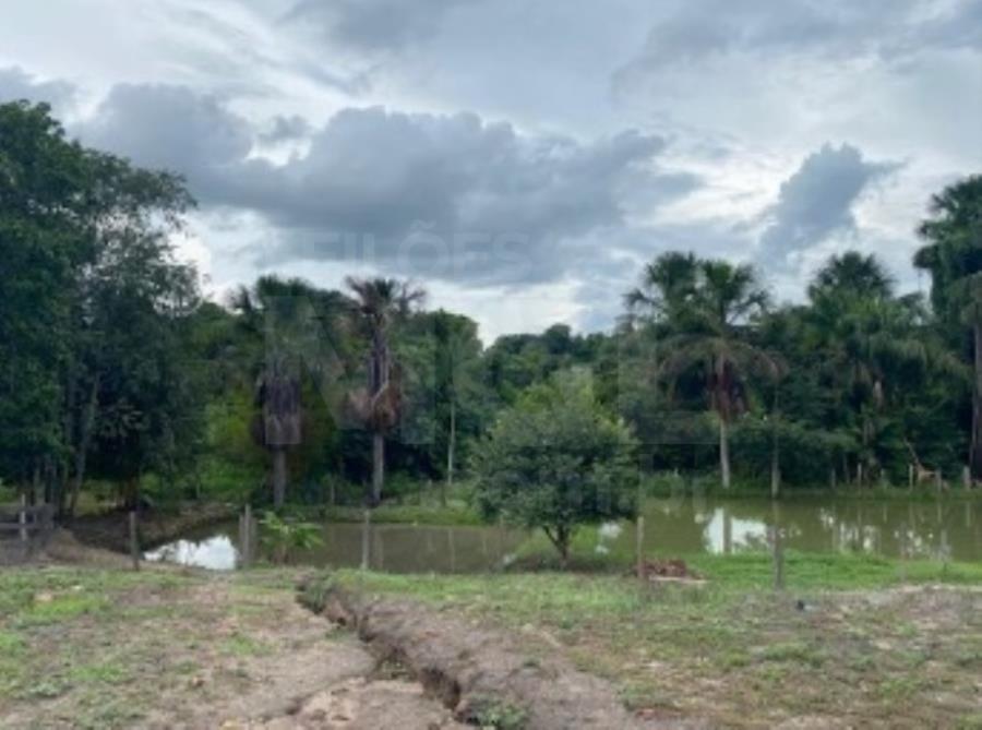 Imagem do imóvel VILA NOVA DOS MARTÍRIOS/MA - UMA GLEBA DE TERRAS COM ÁREA DE 10.87,90HA LEILÃO EXTRAJUDICIAL DE IMÓVEIS
