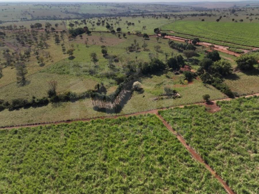 ITAPAGIPE/MG – Fração ideal de 12,5% da Fazenda Moeda ou Moeda de Cima, equivalente a 10,55,14 ha LEILÃO EXTRAJUDICIAL DE IMÓVEIS, localizado em Itapagipe - MG