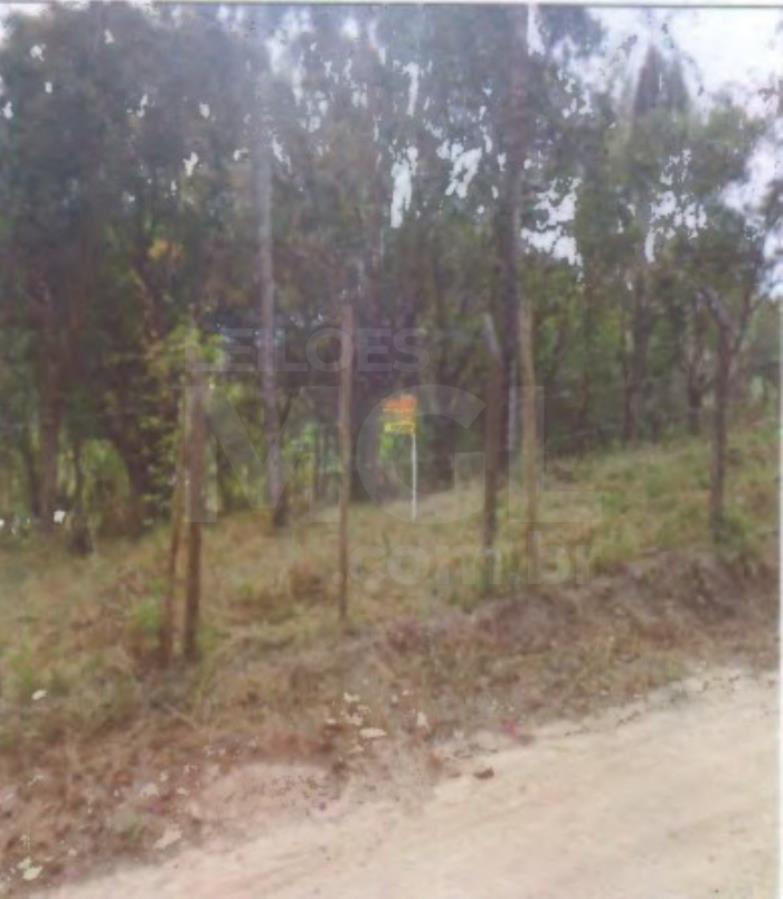 BETIM/MG — Chácara com 1.307,85m² na Granja Flores e Floresta EXTRAJUDICIAL DE IMÓVEIS, localizado em Betim - MG