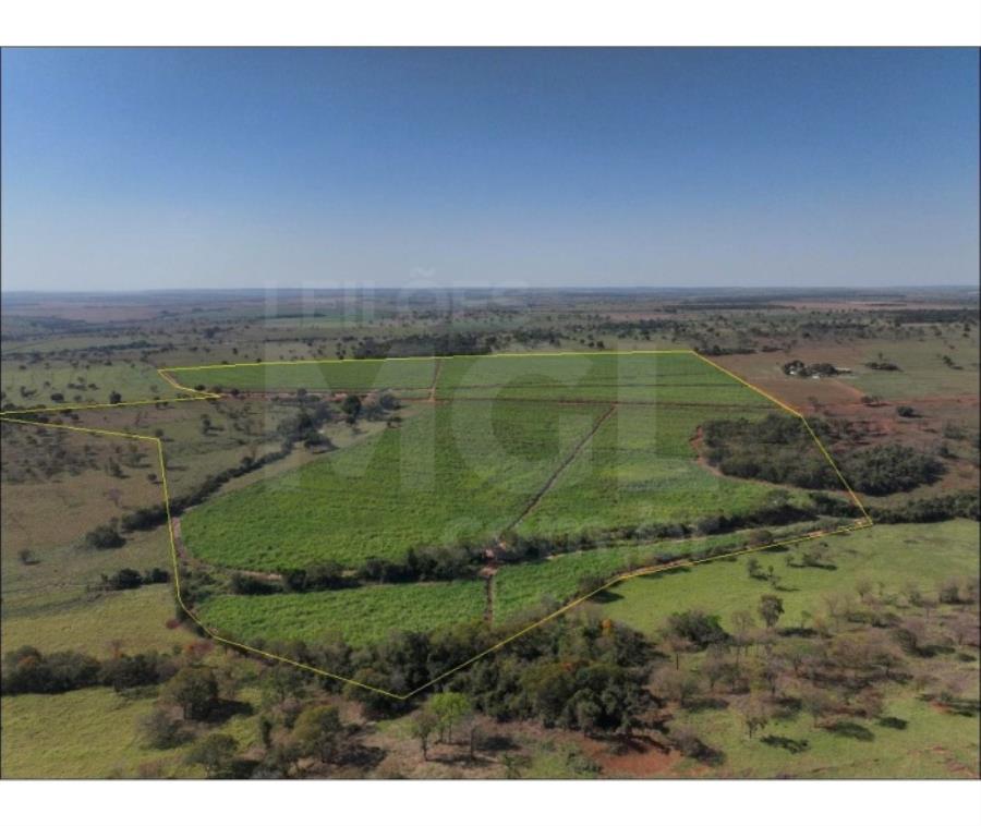 ITAPAGIPE/MG – Fração ideal de 12,5% da Fazenda Moeda ou Moeda de Cima, equivalente a 10,55,14 ha LEILÃO EXTRAJUDICIAL DE IMÓVEIS, localizado em Itapagipe - MG
