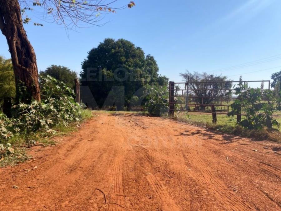 ITAPAGIPE/MG – Fração ideal de 12,5% da Fazenda Moeda ou Moeda de Cima, equivalente a 10,55,14 ha LEILÃO EXTRAJUDICIAL DE IMÓVEIS, localizado em Itapagipe - MG