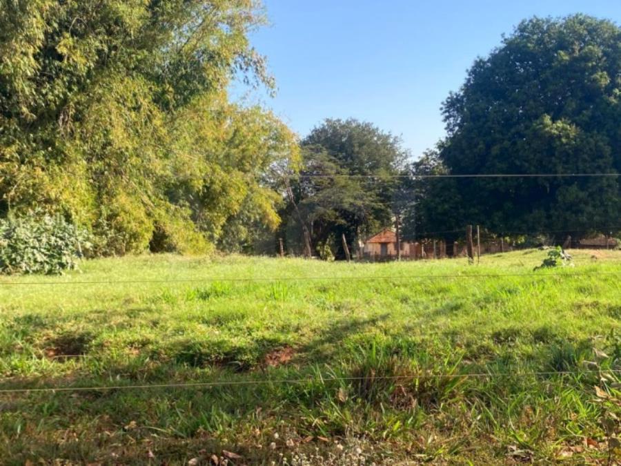 ITAPAGIPE/MG – Fração ideal de 12,5% da Fazenda Moeda ou Moeda de Cima, equivalente a 10,55,14 ha LEILÃO EXTRAJUDICIAL DE IMÓVEIS, localizado em Itapagipe - MG