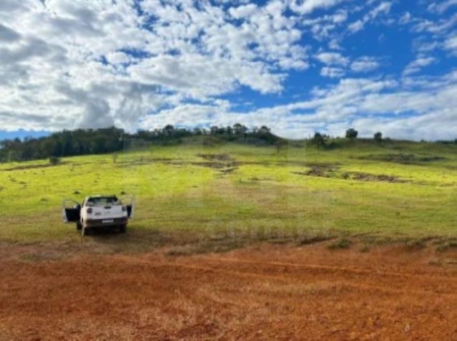 LAGOA FORMOSA/MG-TERRENO EM "FAZENDA CARRANCAS" EXTRAJUDICIAL DE IMÓVEIS, localizado em Lagoa Formosa - MG