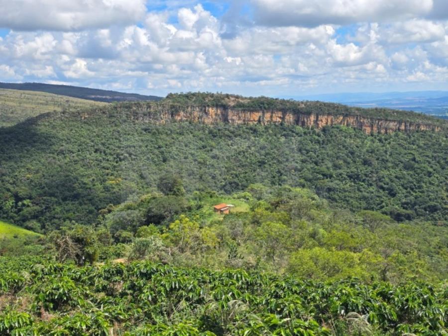 GUAPÉ/MG- FAZENDA BOQUEIRÃO IMÓVEIS RESIDENCIAIS (CASAS, LOTES E APARTAMENTOS) | MG, localizado em Guapé - MG