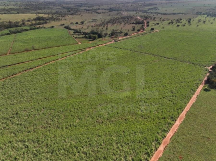 ITAPAGIPE/MG – Fração ideal de 12,5% da Fazenda Moeda ou Moeda de Cima, equivalente a 10,55,14 ha LEILÃO EXTRAJUDICIAL DE IMÓVEIS, localizado em Itapagipe - MG