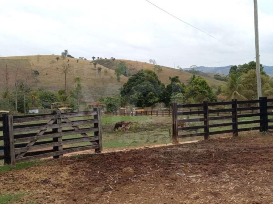 Terreno Rural TARUMIRIM/MG - Terreno Rural com 20.92.77 hectares Sítio/ Chácara em ...