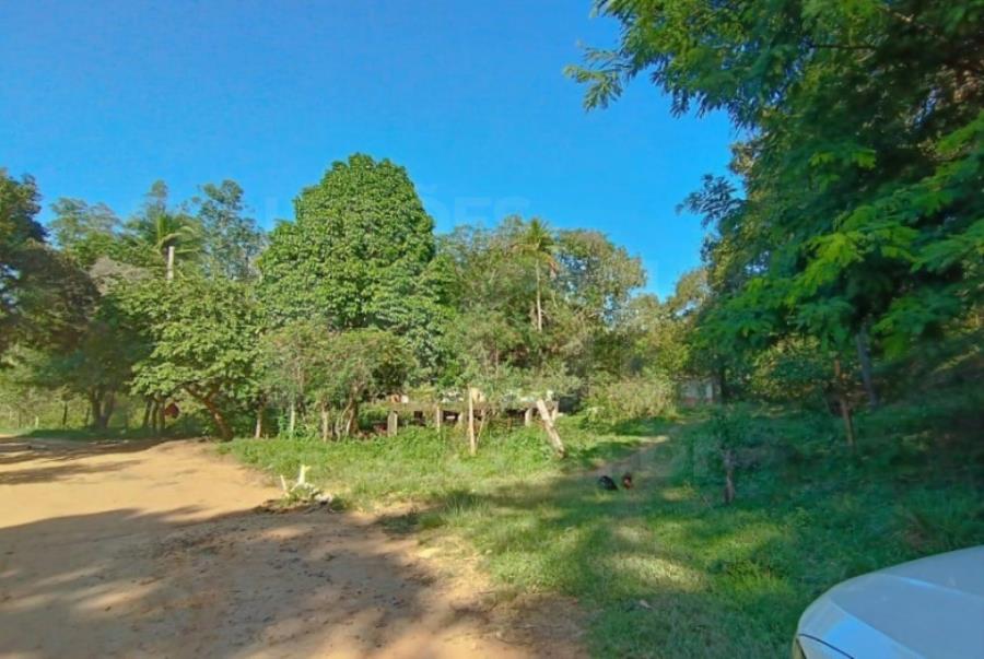 CATAGUASES/MG — Terreno Rural com 296.69.17 hectares e plantação de eucalipto na Fazenda Bom Destino IMÓVEIS | MG | SP | MA | GO, localizado em Cataguases - MG