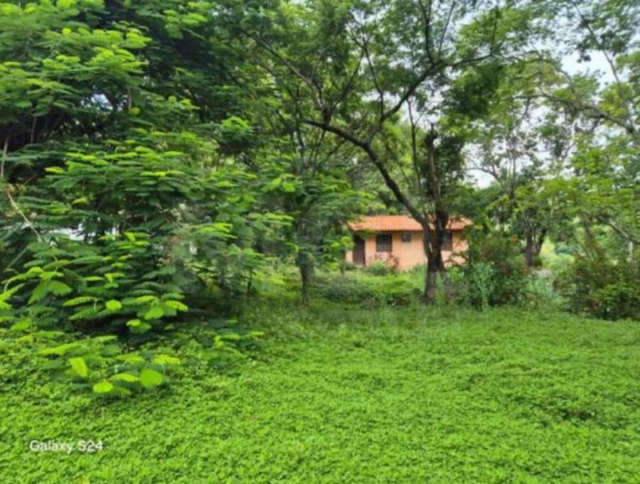 LEOPOLDINA/MG — Fazenda com 46.15.70 hectares na Fazenda São Sebastião IMÓVEIS | MG, localizado em Leopoldina - MG