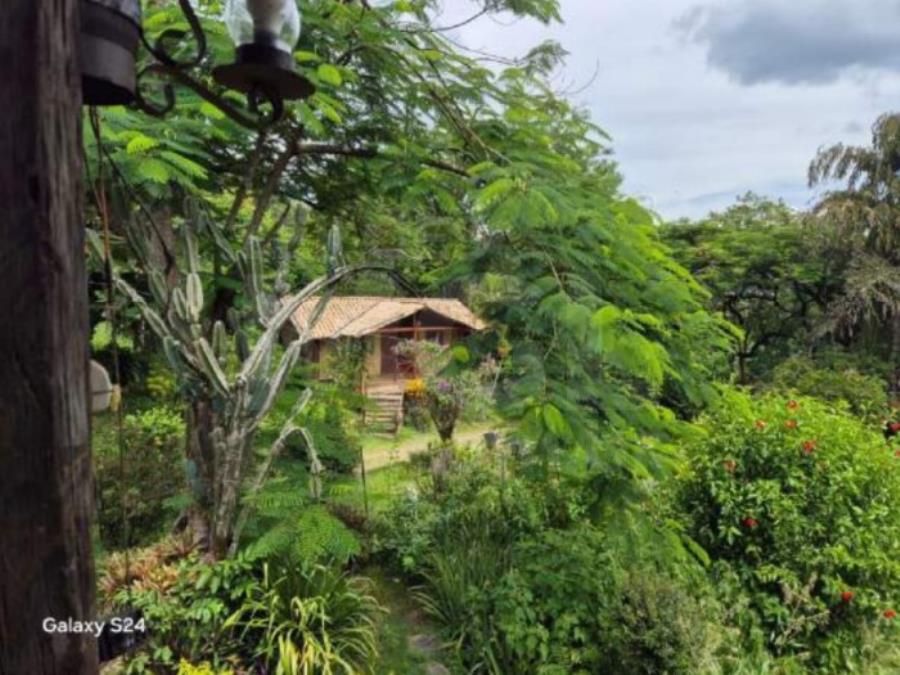 LEOPOLDINA/MG — Fazenda com 46.15.70 hectares na Fazenda São Sebastião IMÓVEIS | MG, localizado em Leopoldina - MG