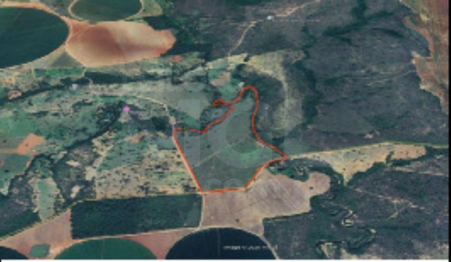 Imagem do imóvel PARACATU/MG – Imóvel rural com a área de 49,76,36ha, denominada Fazenda Ouro Verde LEILÃO EXTRAJUDICIAL DE IMÓVEIS