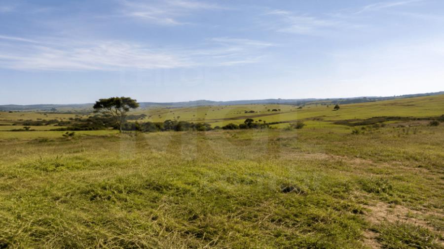 LUZ/MG – Fazenda Noruega com a área de 45,84,05ha no distrito de Esteios IMÓVEIS PARA INVESTIMENTO | MG, localizado em Luz - MG