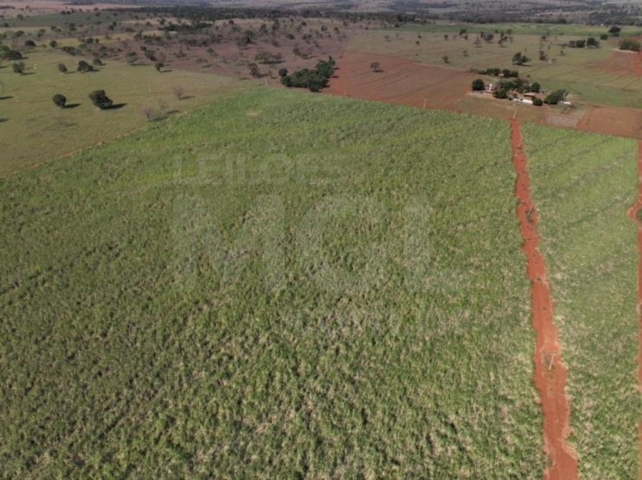ITAPAGIPE/MG – Fração ideal de 12,5% da Fazenda Moeda ou Moeda de Cima, equivalente a 10,55,14 ha LEILÃO EXTRAJUDICIAL DE IMÓVEIS, localizado em Itapagipe - MG
