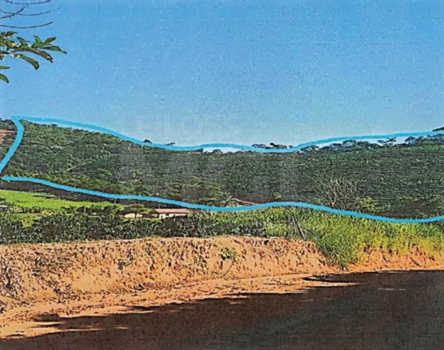 CONCEIÇÃO DE IPANEMA/MG IMÓVEL RURAL COM ÁREA DE 04,0917 HA EM CÓRREGO PALMITAL LEILÃO EXTRAJUDICIAL DE IMÓVEIS, localizado em Conceição De Ipanema - MG