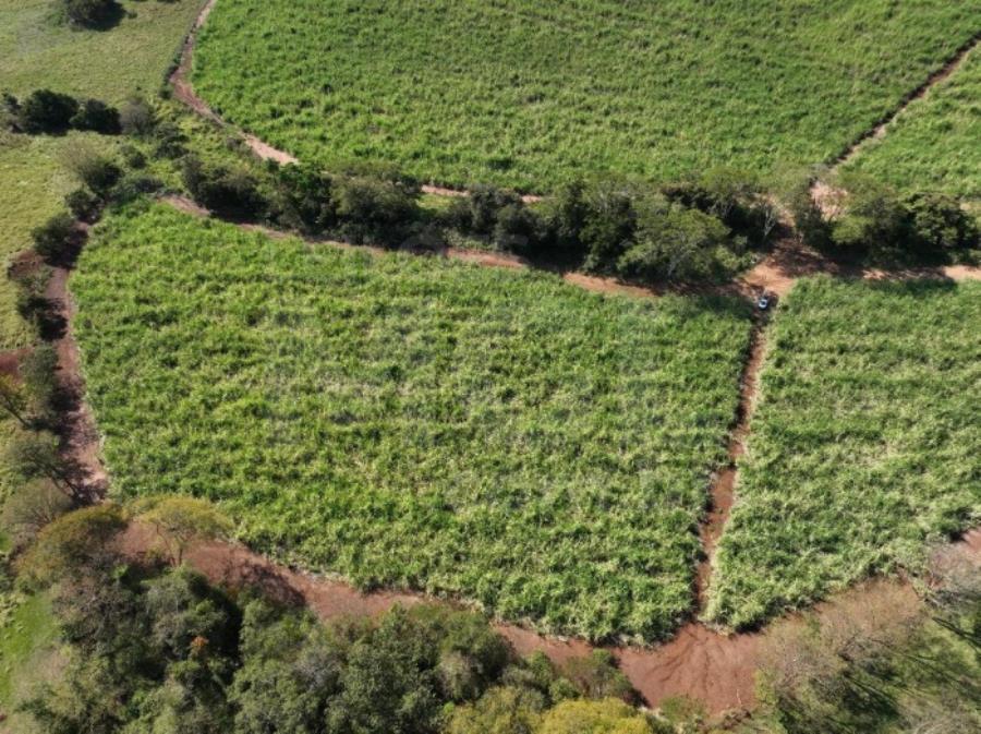 ITAPAGIPE/MG – Fração ideal de 12,5% da Fazenda Moeda ou Moeda de Cima, equivalente a 10,55,14 ha LEILÃO EXTRAJUDICIAL DE IMÓVEIS, localizado em Itapagipe - MG