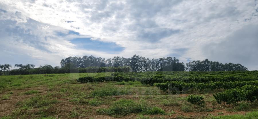 Imagem do imóvel BOA ESPERANÇA/MG – Gleba rural com a área de 7,26,00ha, situada Fazenda Barro Vermelho IMÓVEIS PARA INVESTIMENTO | MG