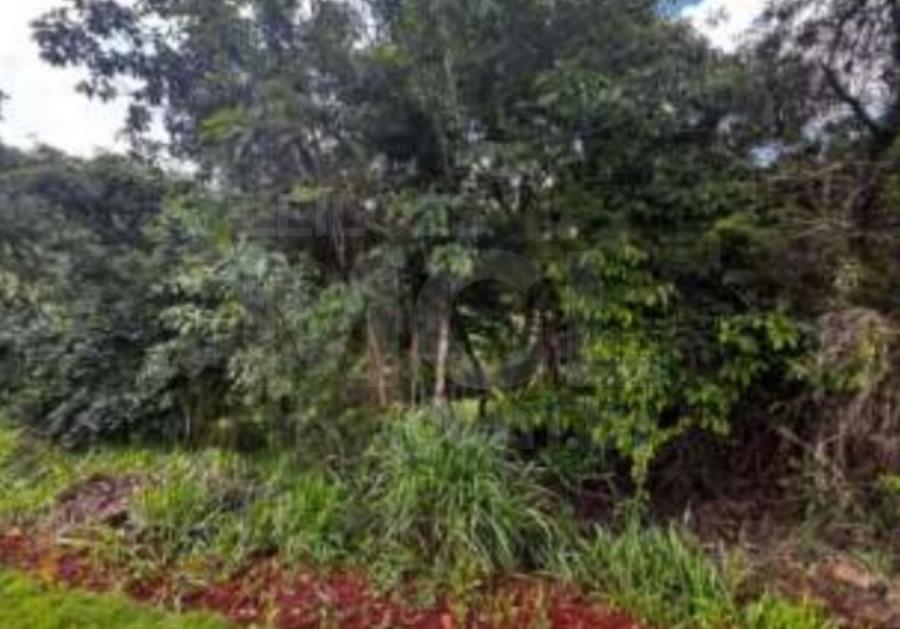 NOVA LIMA/MG — Lote com 2.546,31m² na Vila Castela IMÓVEIS / MG /MT, localizado em Nova Lima - MG