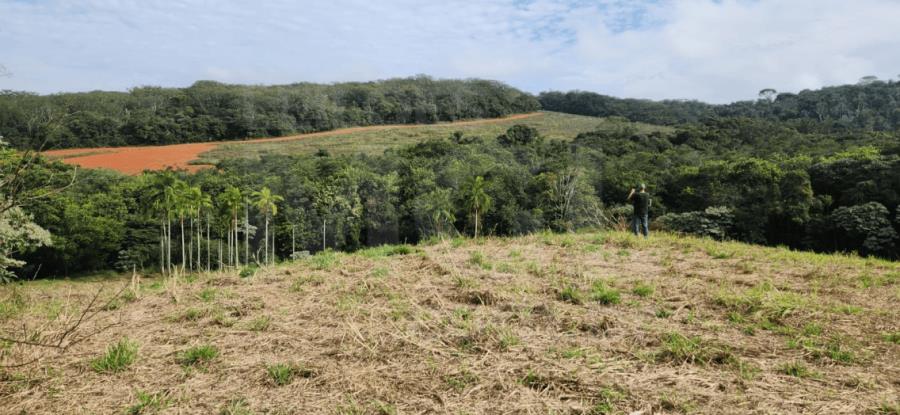 Imagem do imóvel BOA ESPERANÇA/MG – Área rural com 2,42,00ha, localizada na Fazenda Barro Vermelho, Sitio Piripau IMÓVEIS PARA INVESTIMENTO | MG