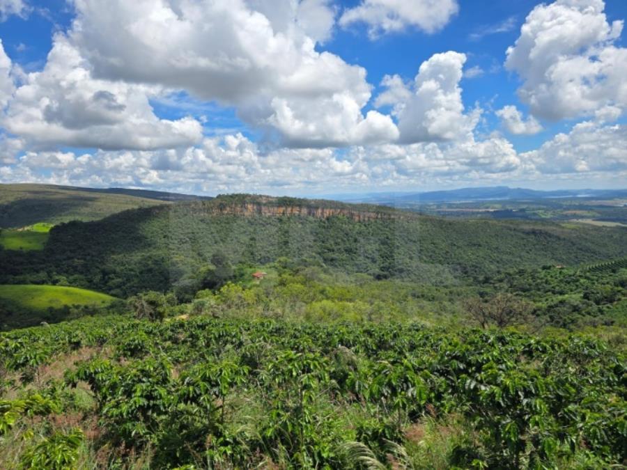 GUAPÉ/MG- FAZENDA BOQUEIRÃO IMÓVEIS RESIDENCIAIS (CASAS, LOTES E APARTAMENTOS) | MG, localizado em Guapé - MG