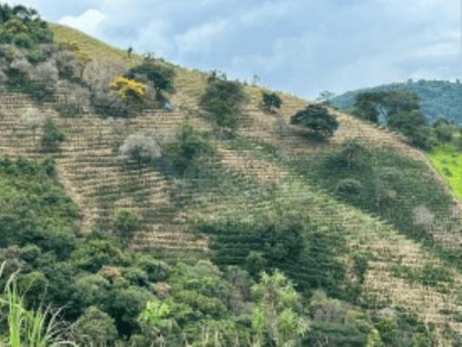 JACUTINGA/MG IMÓVEL RURAL SITUADO NO BAIRRO BOCAIÚVA COM ÁREA DE 6,7074HA