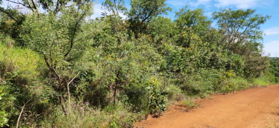 BOA ESPERANÇA/MG LOTE NO BAIRRO JARDIM NOVA ESPERANÇA, COM A ÁREA DE 560,00M²