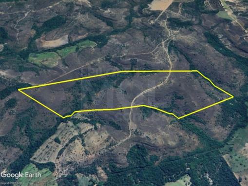 PRESIDENTE OLEGÁRIO/MG – Terreno Rural com 80.62.71 hectares na Fazenda Andrequicé
