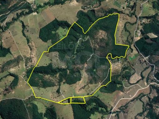 ITATIAIUÇU/MG — Fazenda com aprox. 181ha (1.800.000m²) no Teixeiras