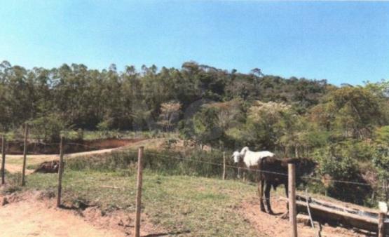 VIRGINOPOLIS/MG - FRAÇÃO DE 38,88% DA FAZENDA SÃO LUIZ SITUADA NO CÓRREGO MEXERICO