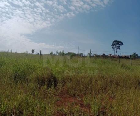 GUIMARÂNIA/MG – Lote com a área de 217,21m², situado no bairro Jardim Paraíso