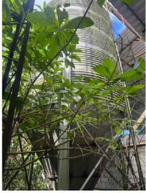 ORATÓRIOS/MG - Silo para armazenagem de grãos, marca Casp, capacidade de 43 toneladas