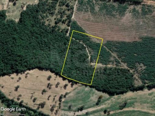 MATEUS LEME/MG — Fazendinha da Capoeira com 29.155,61m²