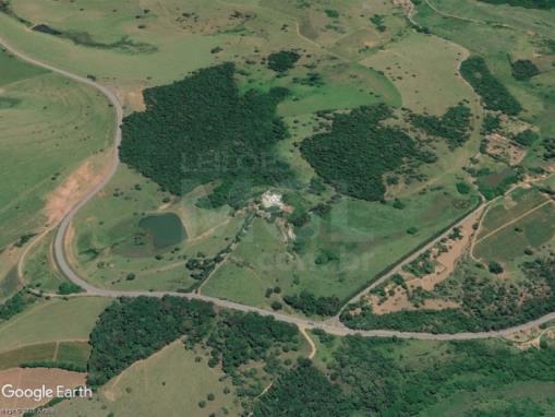 PIRANGUINHO/MG - Fazenda com 93.96 hectares na Fazenda Ribeirão Vermelho