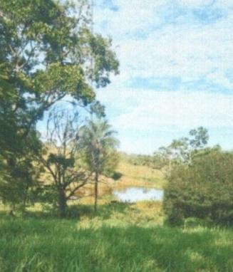 SÃO ROQUE DE MINAS/MG – Área rural com 104,85,80ha, denominada Fazenda Thalayas II - Parcelas 1 e 2