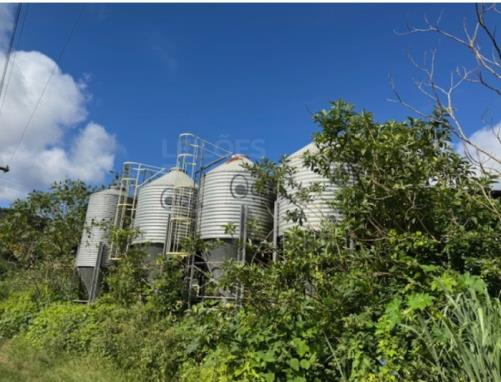 ORATÓRIOS/MG - Silo para armazenagem de grãos, marca CASP, capacidade de 54 toneladas