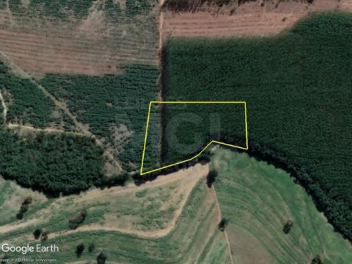 MATEUS LEME/MG — Fazendinha do Jequitibá com 20.082,80m²