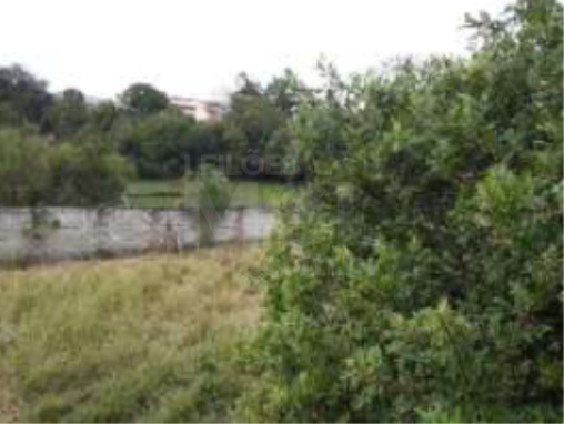 BORDA DA MATA/MG — Lote com área de 209,70m² no bairro Santa Rita