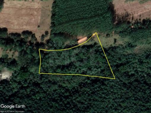 MATEUS LEME/MG — Fazendinha das Orquídeas com 20.159,28m²