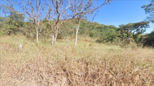 COMPREI-DELFINÓPOLIS/MG-Terreno Rural com 38 ha